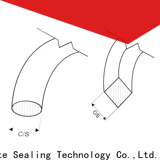 Ultimate FKM rubber strip supplier for windows 1