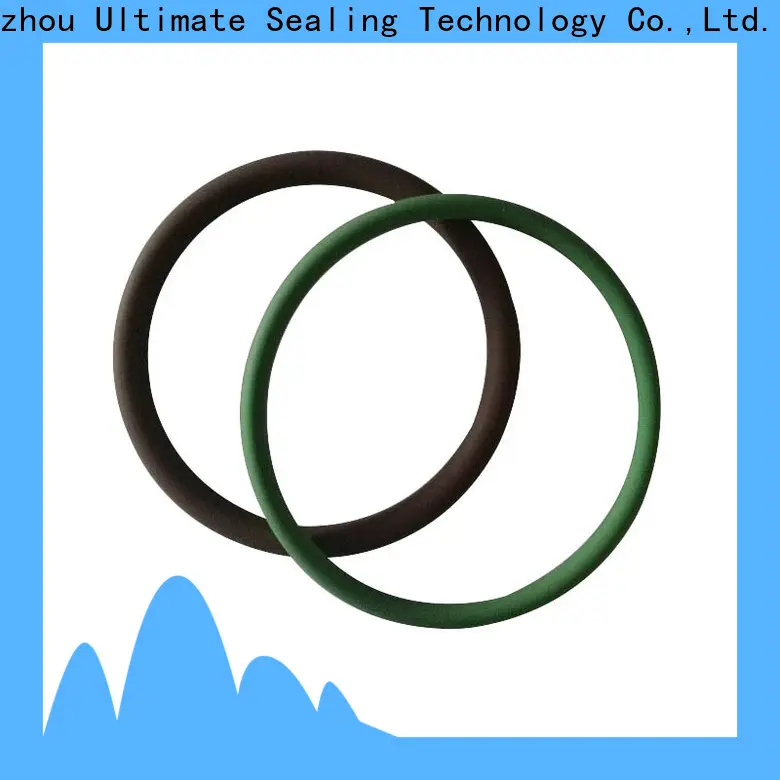 Ultimate practical food grade o ring personalized for sanitary equipment 1