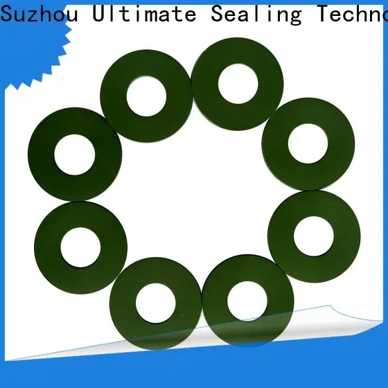 Ultimate FKM gasket at discount for chemical industry 1