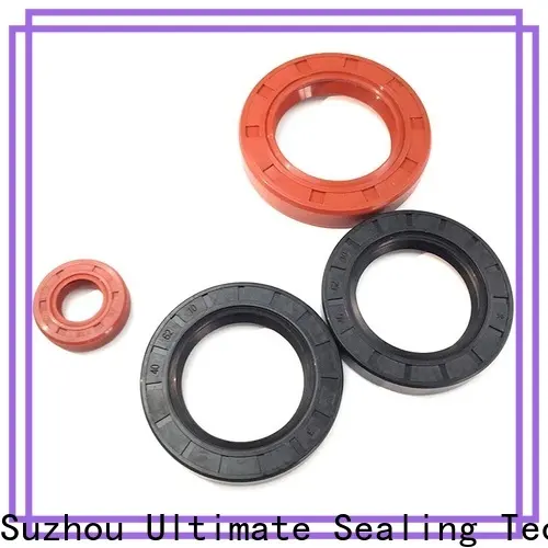 Ultimate heat resistance TC oil seal factory for chemical industry 1