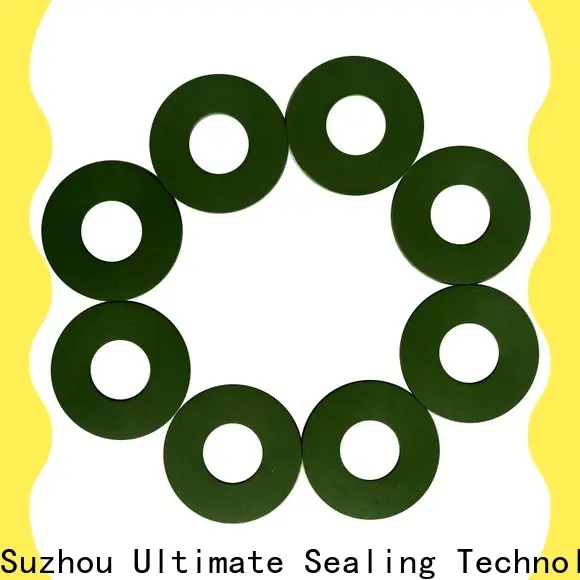 Ultimate FKM gasket design for sanitary 1