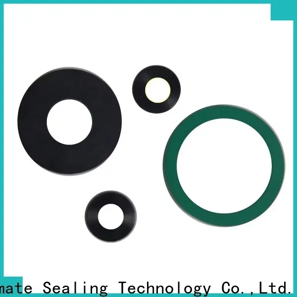Ultimate FKM gasket with good price for sanitary1 1