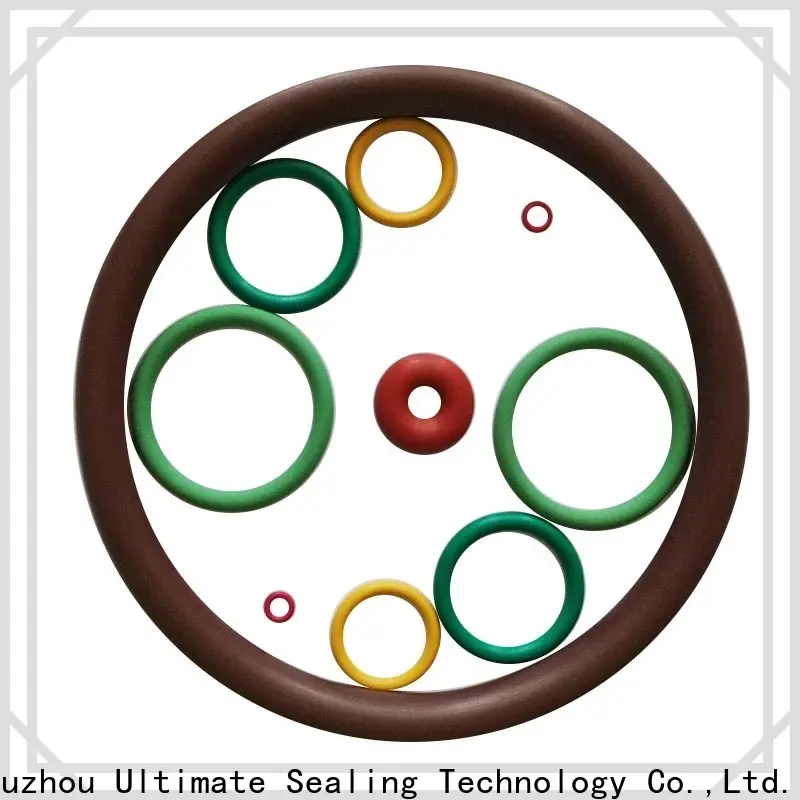 Ultimate o ring gasket personalized for automotive 1