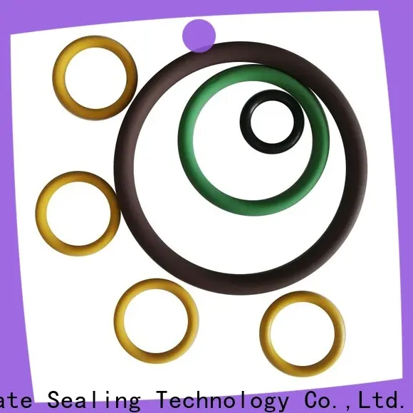 Ultimate polyurethane rubber o ring seals supplier for chemical industries 1