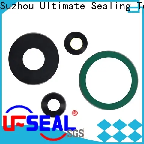 Ultimate PTFE gasket factory for sanitary 1