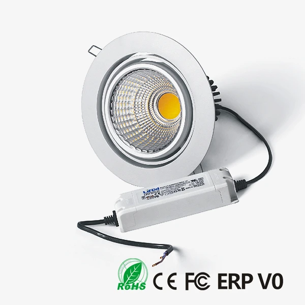 D20170 COB LED Downlight 1