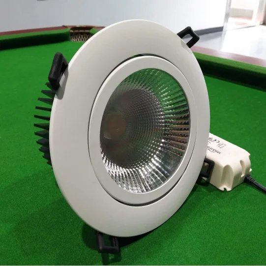 DB40165S COB LED Downlight 1