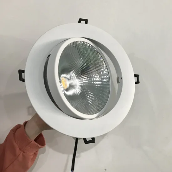DB50200S COB LED Downlight 1