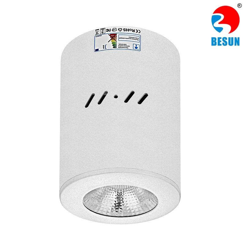 SFC surface mount COB led downlight 12-40W 1