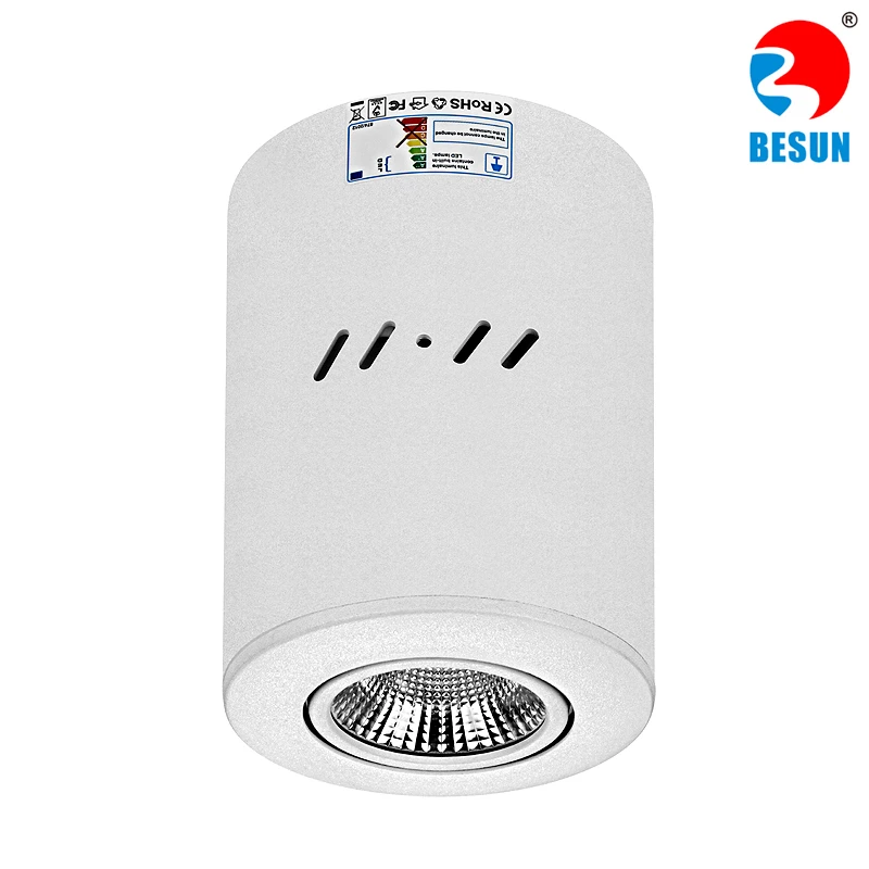 SBC Surface Mount COB LED Downlight 1
