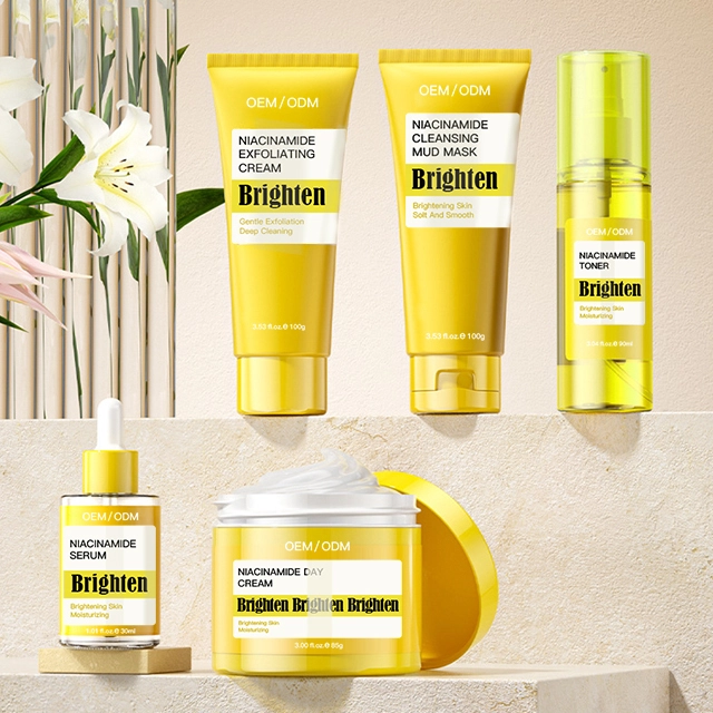 Private Label Niacinamide Brightening Anti Aging Wrinkles Niacinamide Skin Care Set 1