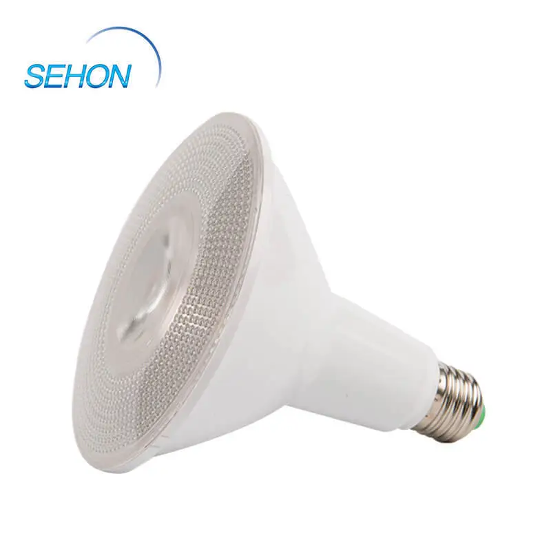Recessed Spotlights Energy Saving 6W COB LED Bulb E27 PAR 38 LED Bulb Dimmable 1
