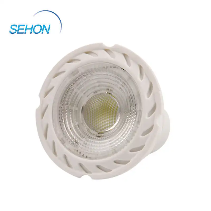 Sehon Top led spotlight flood light Suppliers used in specialty stores lighting 3