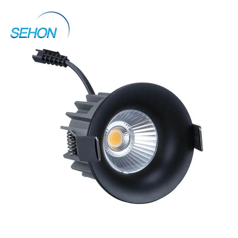 Sehon buy led down lights factory for hotel lighting 3