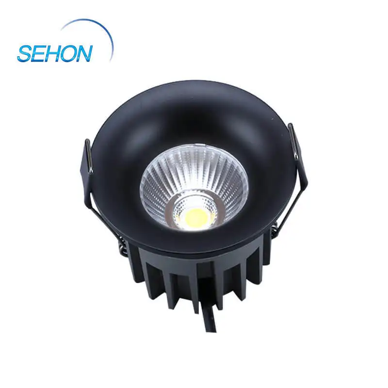 Sehon buy led down lights factory for hotel lighting 4