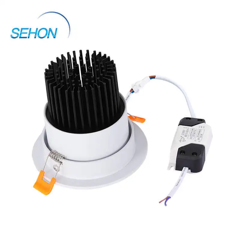 Sehon New home downlights company for home lighting 2