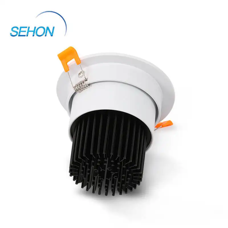 Sehon New home downlights company for home lighting 3
