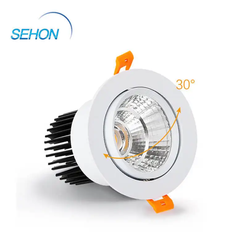 Sehon New home downlights company for home lighting 4