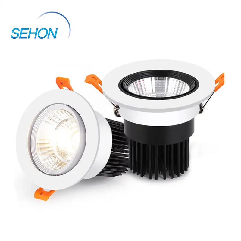 Sehon New home downlights company for home lighting 5