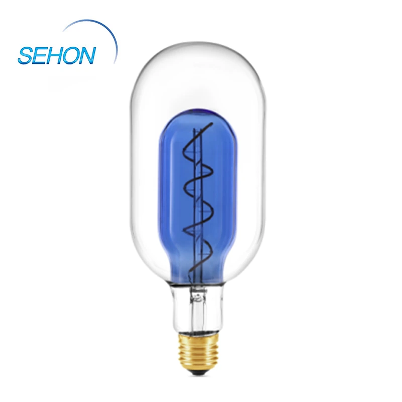 Blown Glass Pendant Lights Lamp In Lamp T100LIL 1