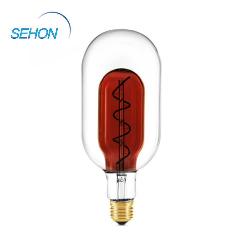 Blown Glass Pendant Lights Lamp In Lamp T100LIL 4