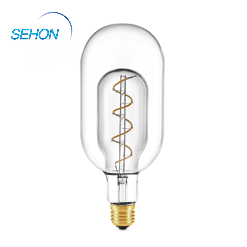 Blown Glass Pendant Lights Lamp In Lamp T100LIL 3