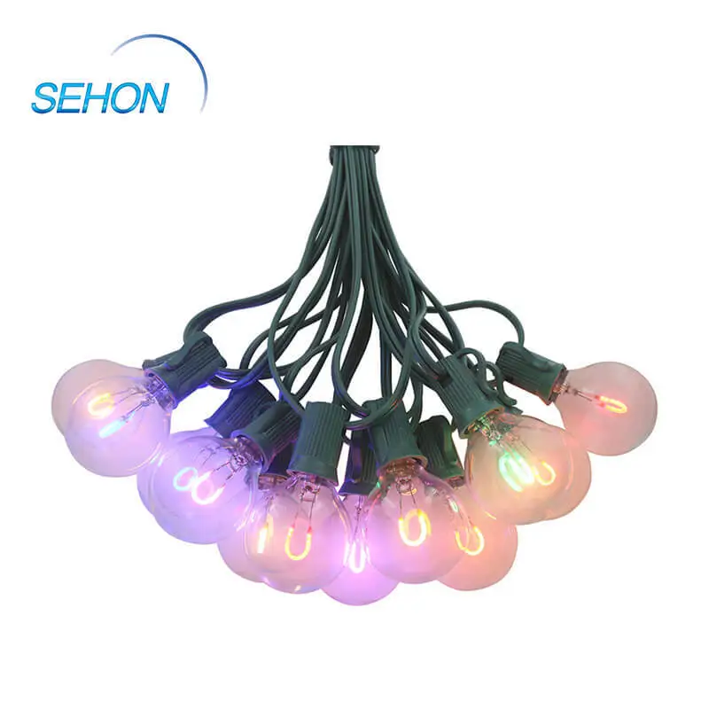 Outdoor Led String Lights Flexible Filament Bulb G40 Decorative Clear Color 1