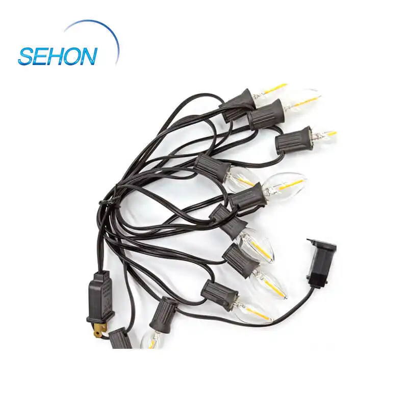 Latest outdoor christmas rope lights factory used on holidays 4