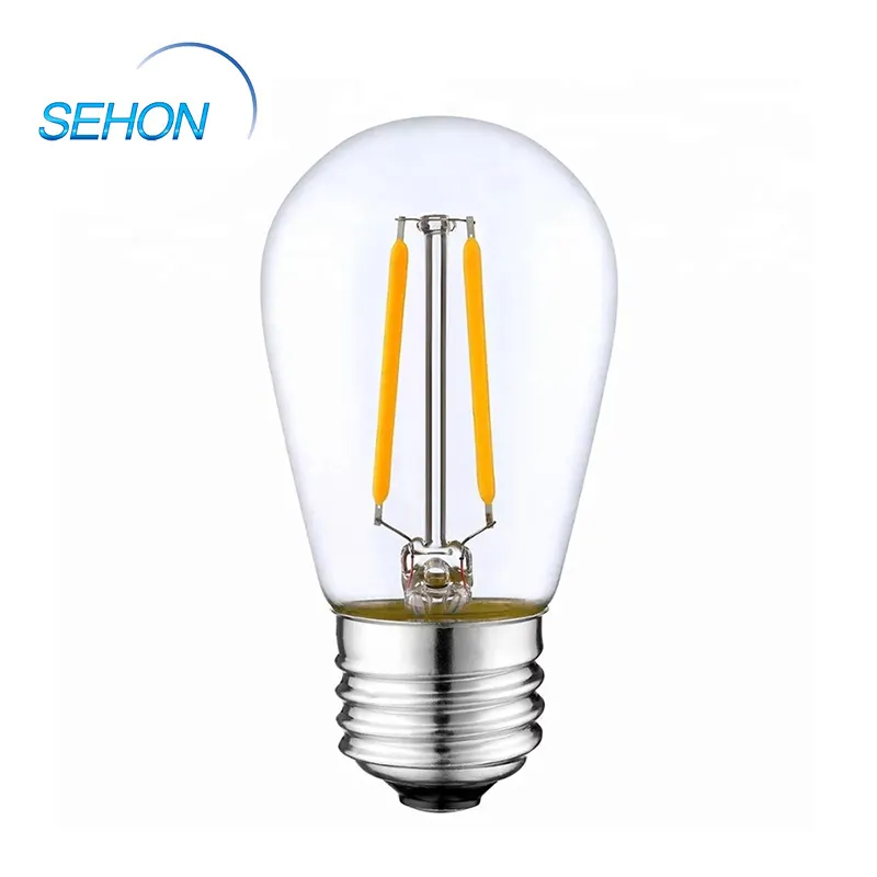 Sehon led bulb string lights factory used on Halloween 2