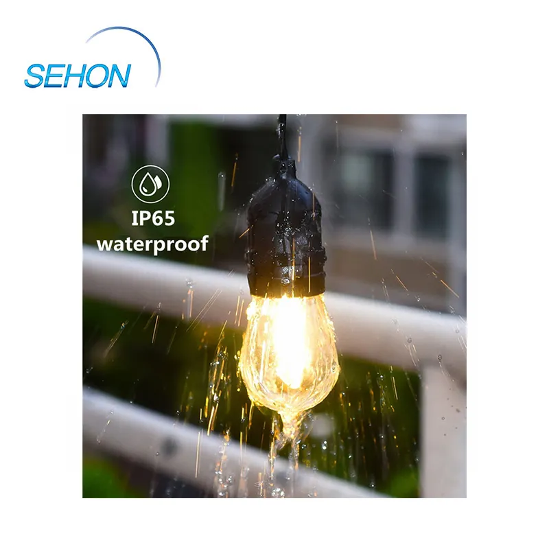 Sehon led bulb string lights factory used on Halloween 3