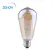 Sehon Best led edison globes Supply used in bedrooms 3