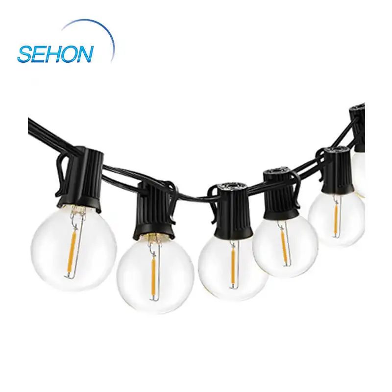 Sehon Latest bright led rope lights Supply used on holidays 3