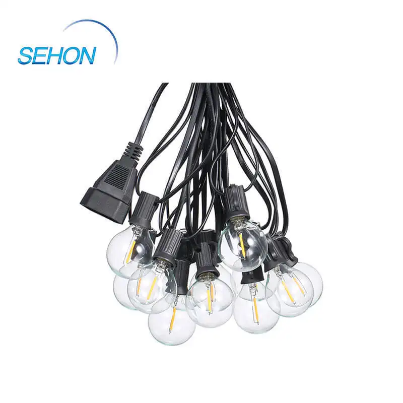 Sehon Latest bright led rope lights Supply used on holidays 4