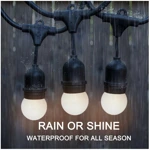 G45-Milk White Decorative Light String 1