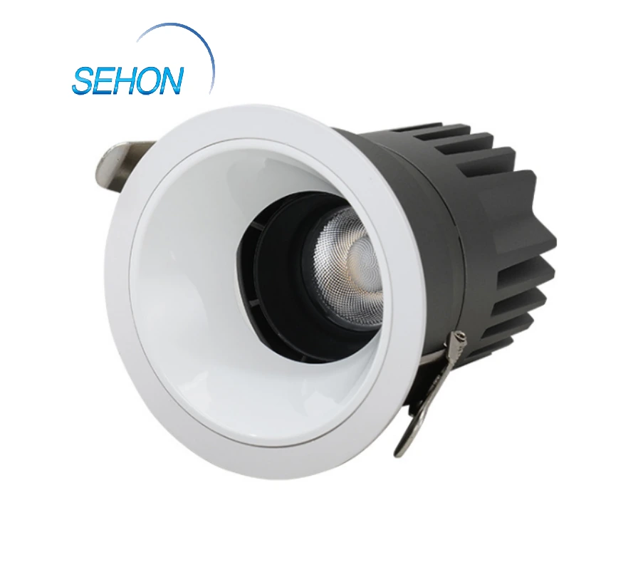 Top Quality Professional 24V PWM dimmable LED downlight Wholesale-Sehon 1