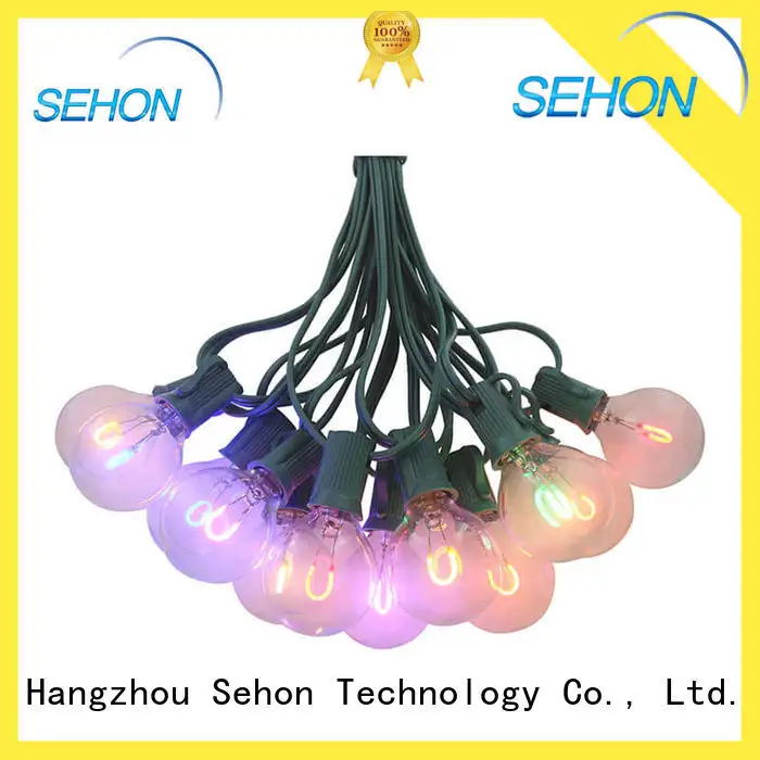 Sehon New outdoor christmas rope lights company used on Christmas 1