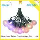 Sehon New outdoor christmas rope lights company used on Christmas 1