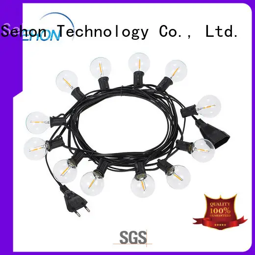 Sehon decorative string lights for living room manufacturers used on Christmas 1