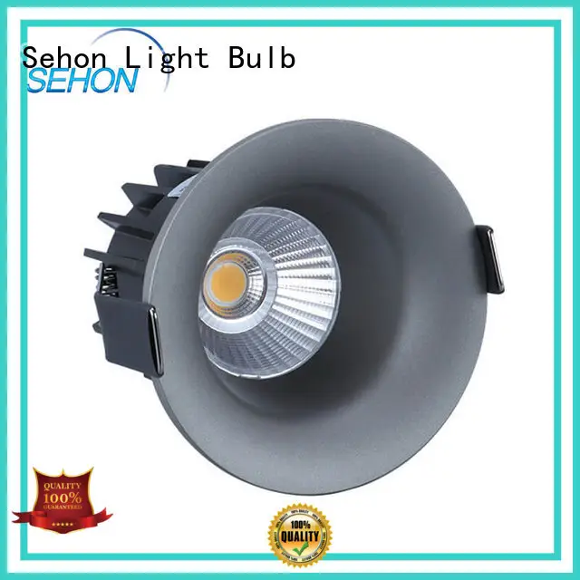 Sehon Custom led downlighters Supply used in ceilings and walls 1
