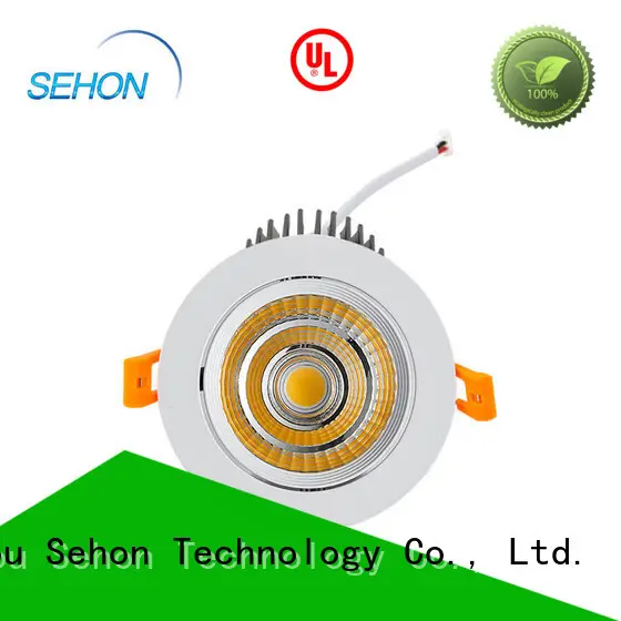 Custom bright downlights Suppliers for home lighting 1
