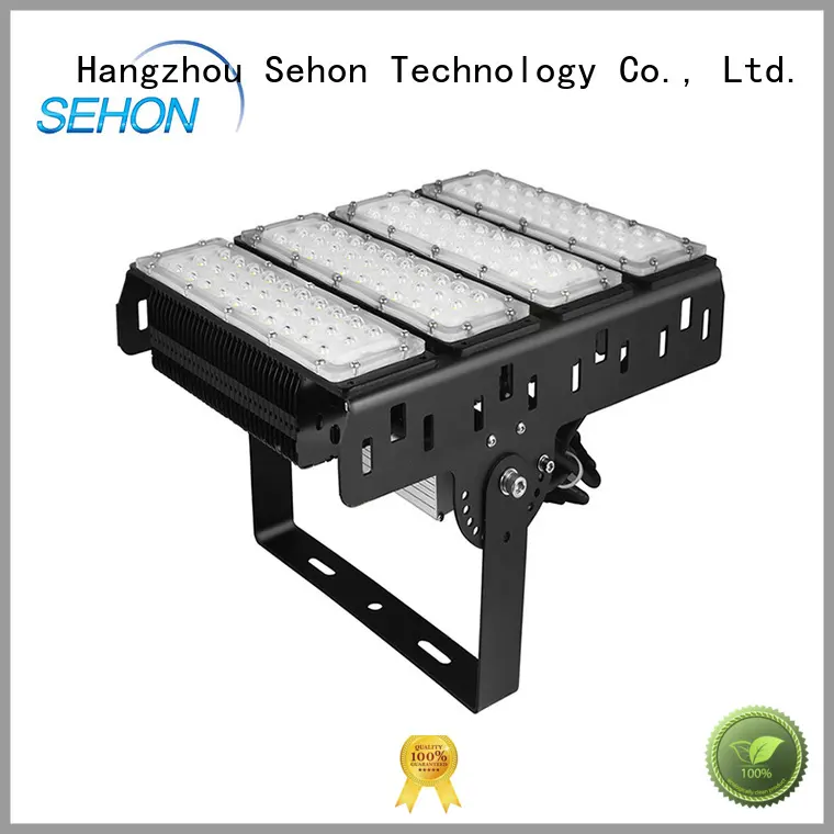 Sehon Latest external flood light manufacturers used in indoor space display lighting 1
