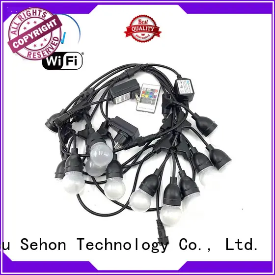 Sehon Top flexible rope light Supply used on holidays 1