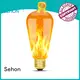 Sehon Best clear edison bulbs for business used in living rooms 1