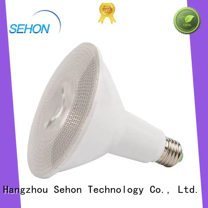 Sehon Custom flood light replacement bulbs Supply used in entertainment venues lighting 1