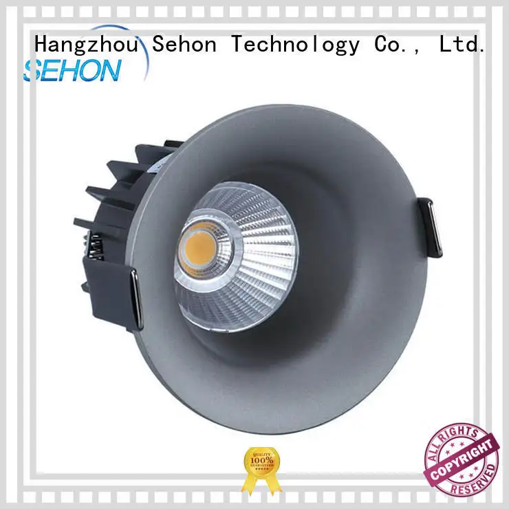 Sehon bright downlights Suppliers for home lighting 1
