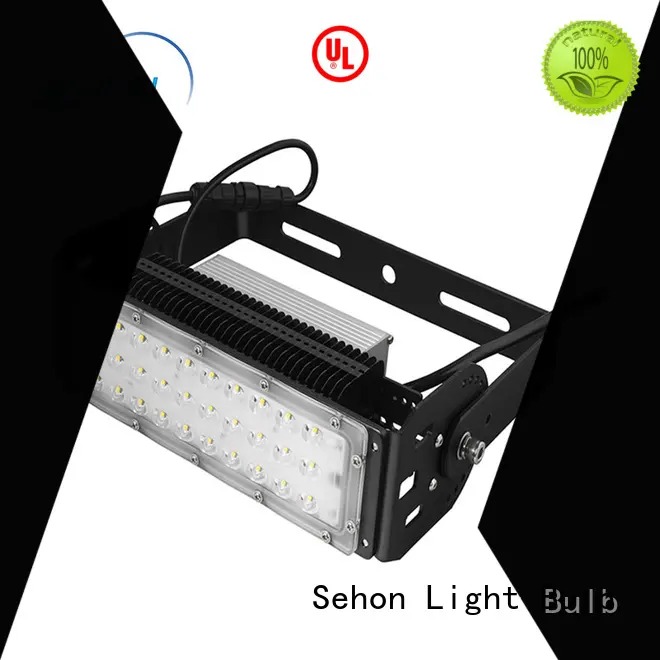 Sehon Wholesale led security spotlight factory used in signage and indicative lighting 1