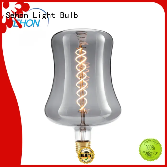 Top retro edison bulbs factory used in bathrooms 1