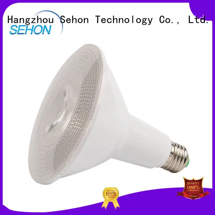 Sehon led ceiling spots for business used in hotels lighting 1