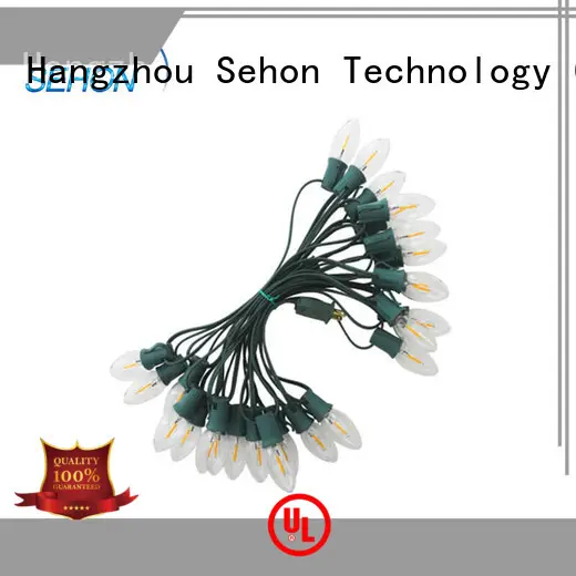 Sehon ball string lights indoor Supply used on Halloween 1