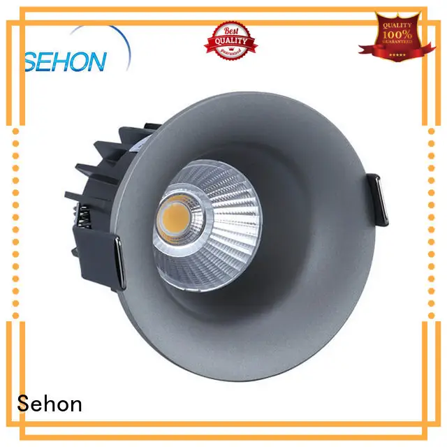Sehon low profile recessed downlights Suppliers for hotel lighting 1